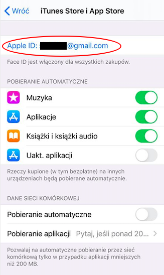 Menu smartfona Apple ustawienia płatności