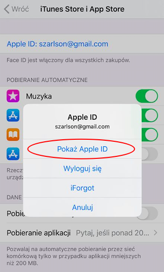 Menu smartfona Apple ustawienia płatności