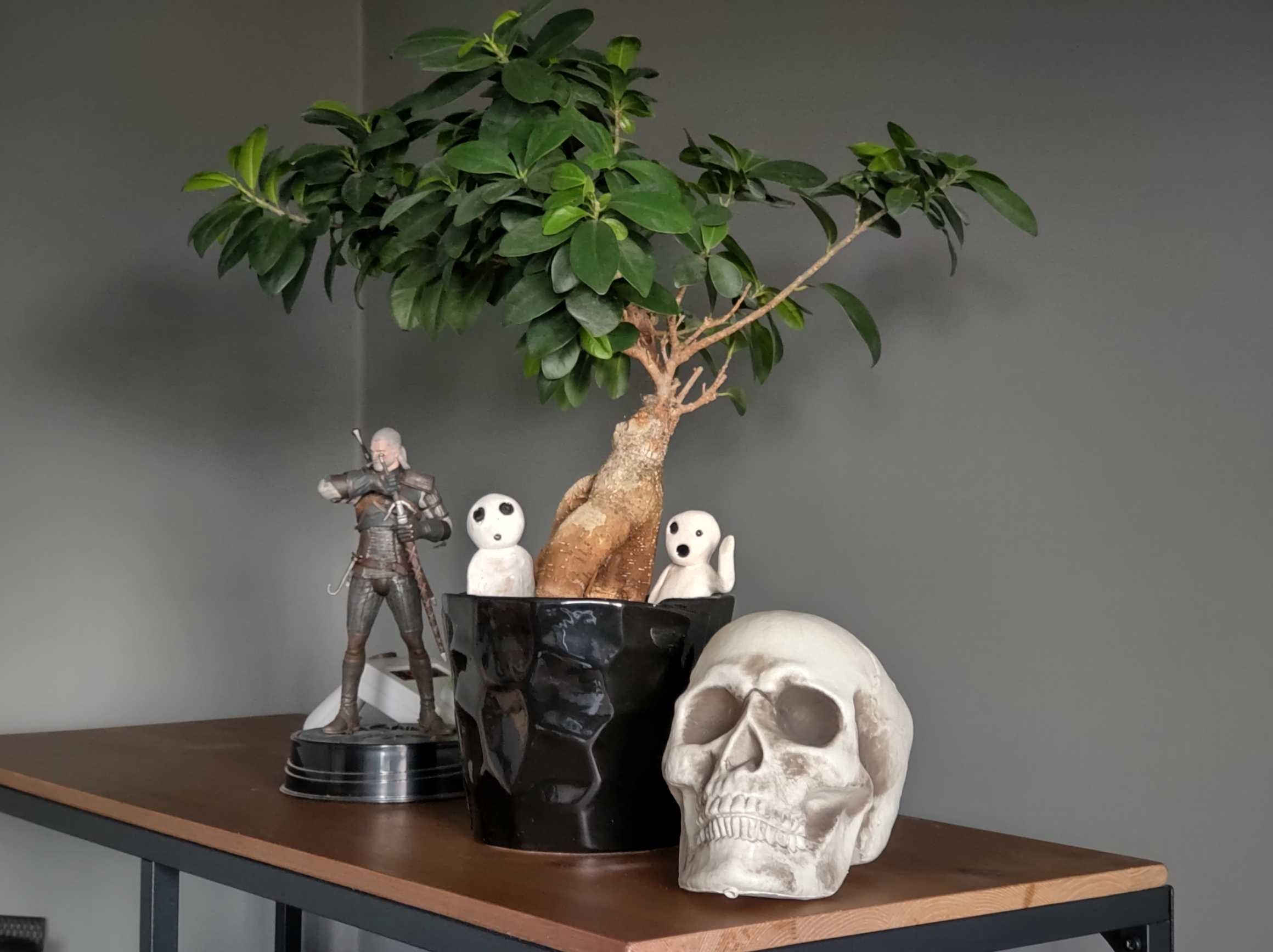 drzewo i czaszka