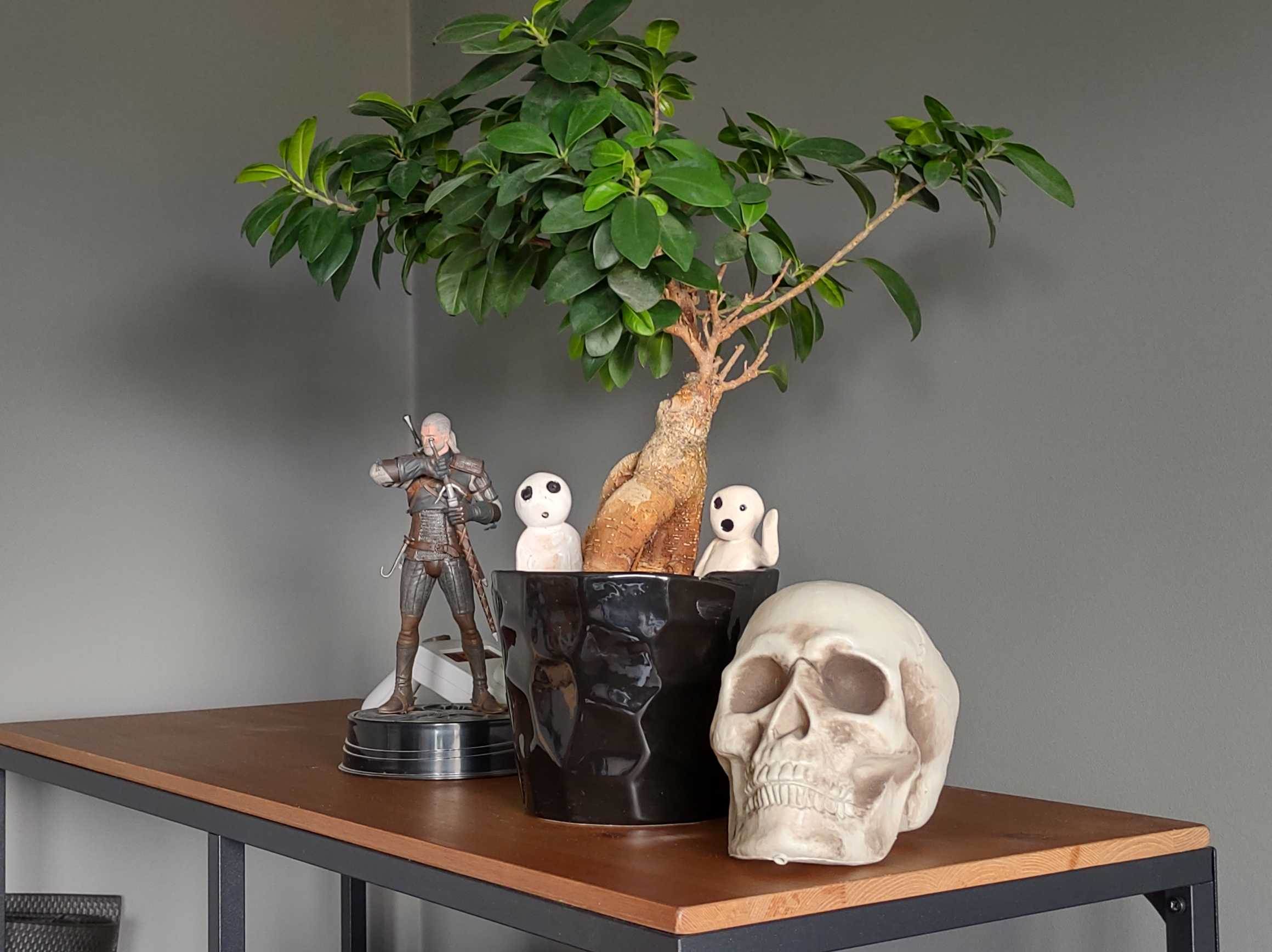 drzewo i czaszka