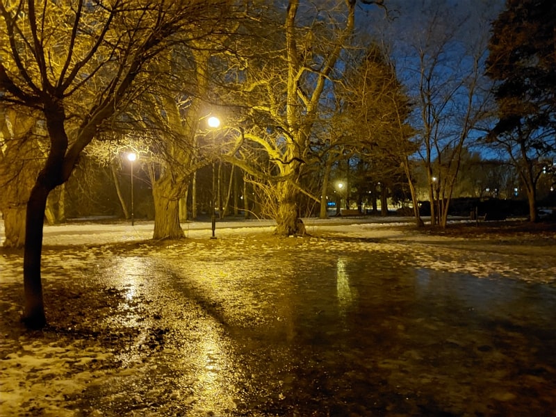 Park nocą