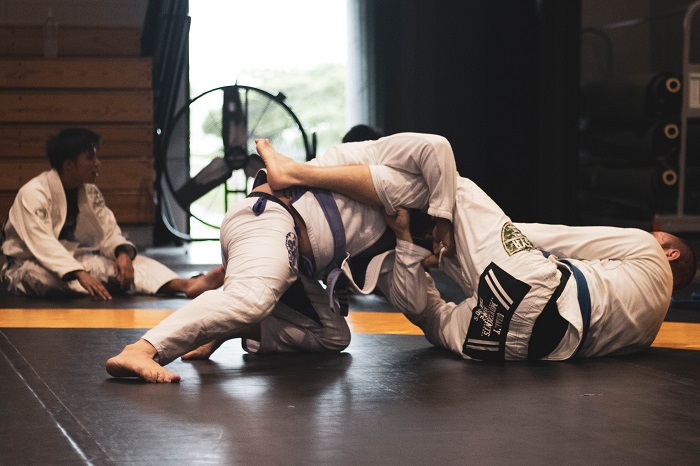 zawodnicy judo