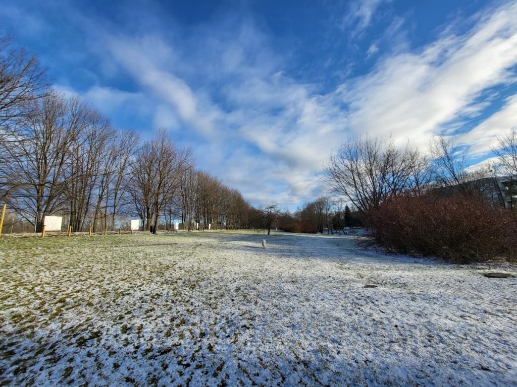 Widok na park