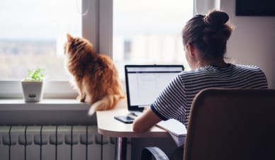 Koniec wsparcia dla Windows 10 – czy czas przejść na Windows 11?