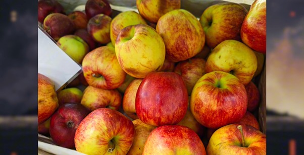 Zdjęcie jabłek z aparatu Honor Magic 8 Pro